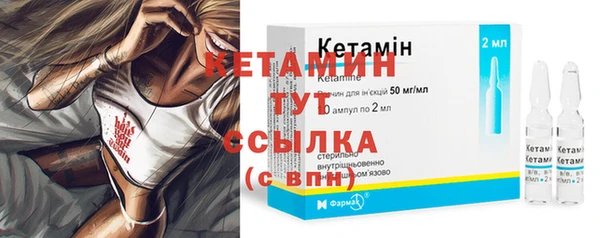 стаф Арсеньев