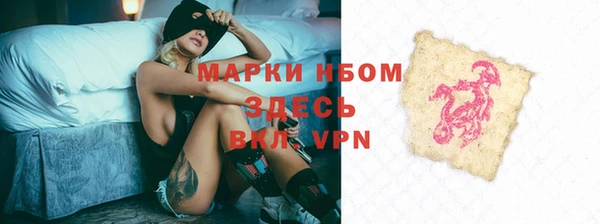 ГАЛЛЮЦИНОГЕННЫЕ ГРИБЫ Аркадак