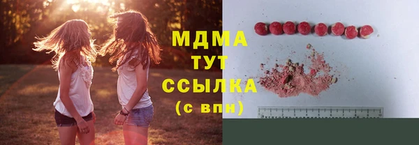 ГАЛЛЮЦИНОГЕННЫЕ ГРИБЫ Аркадак