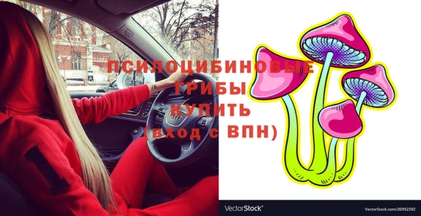 ГАЛЛЮЦИНОГЕННЫЕ ГРИБЫ Аркадак