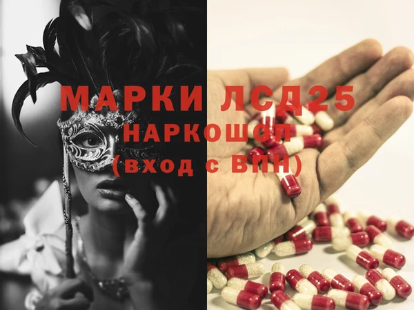ГАЛЛЮЦИНОГЕННЫЕ ГРИБЫ Аркадак