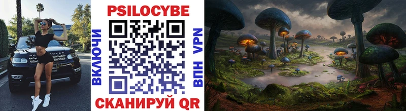 Псилоцибиновые грибы Cubensis  Новодвинск 