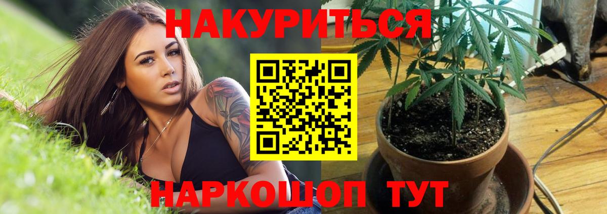 Канабис конопля Новодвинск